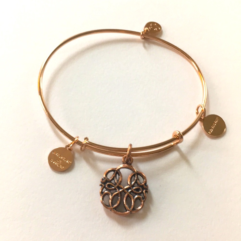 Alex and Ani path of life bracelet